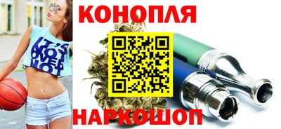 МДПВ Кингисепп