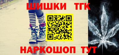 МДПВ Кингисепп