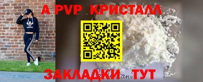 МДПВ Кингисепп