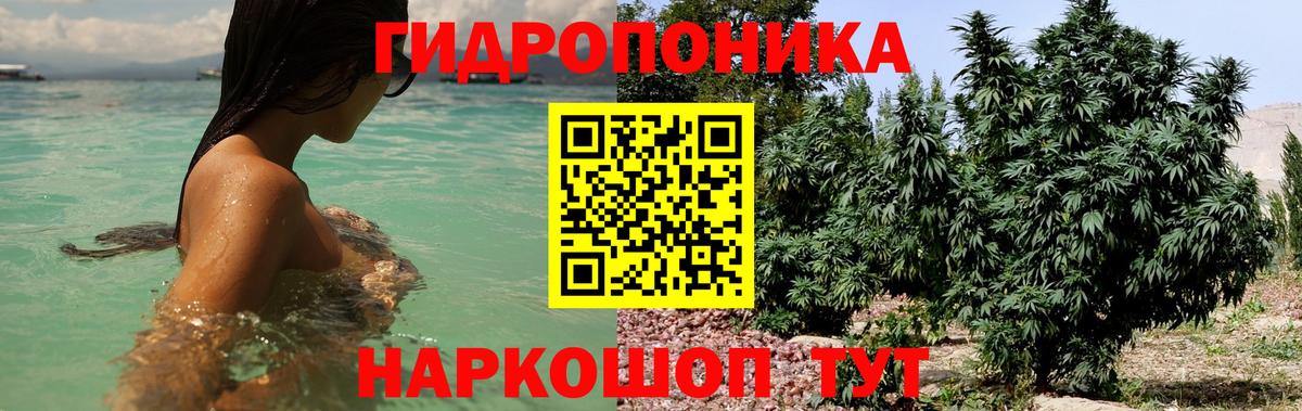 Бошки Шишки VHQ Костомукша
